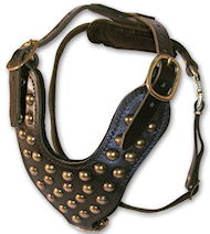 Perfect Studded Walking Dog Leather Harness, UK Bestseller! Perfect Studded Walking Dog Leather Harness, UK Bestseller!