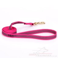 Durable Pink Cute Dog Leash For Strong Dog Walking And Training
