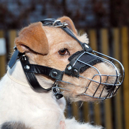 small dog basket muzzle