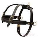 Walking dog harness