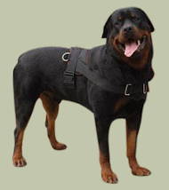 Rottweiler Nylon multi-purpose harness for dog, Bestseller UK Rottweiler Nylon multi-purpose harness for dog, Bestseller UK