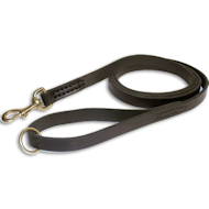Leather dog lead stitched form tracking