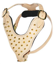 Tracking/Walking leather dog harnesses with gold spikes H9-Brass Tracking/Walking leather dog harnesses with gold spikes H9-Brass