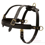 Leather Dog Harness for tracking and pulling