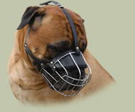 Wire Basket Dog Muzzle for Bullmastiff