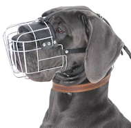 Extra Large Wire Basket dog muzzle for Great Dane Extra Large Wire Basket dog muzzle for Great Dane