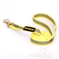 Stylish Water-Resistant Nylon Training Lead For Dogs 0.8" Width