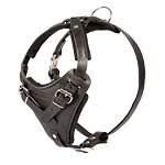 agitation
dog harness
