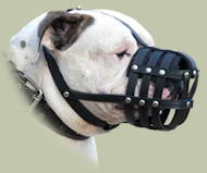 American Bulldog Everyday Light Weight Ventilation Dog muzzle American Bulldog Everyday Light Weight Ventilation Dog muzzle