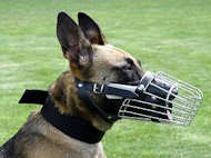Wire Basket Dog Muzzle for Belgian Malinois M4-Malinois
