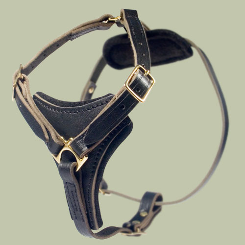 best harness for walking walking harness get free image about wiring diagram best harness for walking walking harness get free image about wiring diagram