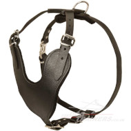 V-Shaped Dog Harness for Perfect Fit Medium to X Large