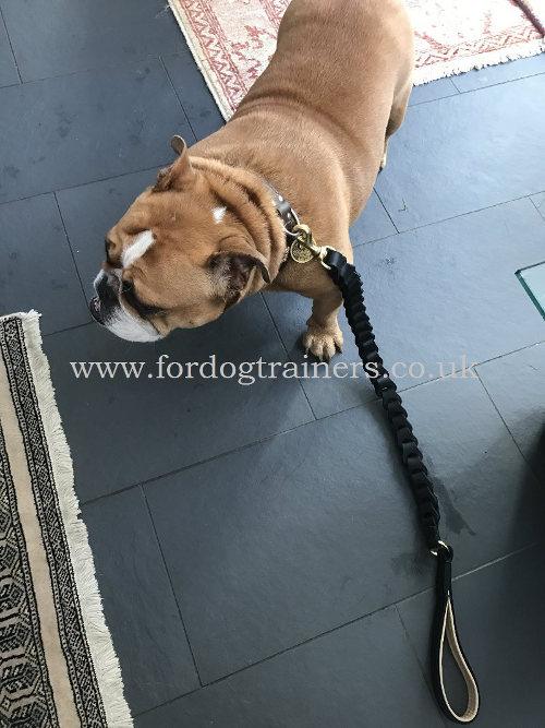 braided leather dog lead with soft handle