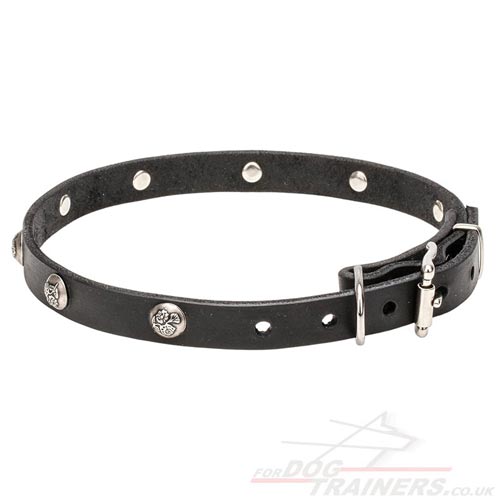 Black Dog Leather Collars
