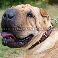 Bright Painted Dog Collar for Sharpei Dog, Nice and Strong