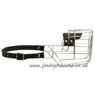 Basket Dalmatian Muzzle For Dogs So They Can Drink