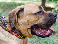 Designer Dog Collars with painting Flame for Cane Corso