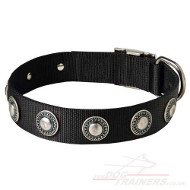 Designer Dog Collars with Luxury Silver Conchos
