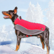 Waterproof Dog Coat for Doberman Walking Waterproof Dog Coat for Doberman Walking