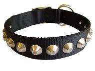 Gorgeous Wide Nylon Dog Collar With Nickle Pyramids Gorgeous Wide Nylon Dog Collar With Nickle Pyramids