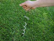 Spiral Tie Out Stake - two way swivel and ring Spiral Tie Out Stake - two way swivel and ring