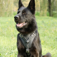 Harness for German Shepherd Dogs | GSD Harness for
Agitation