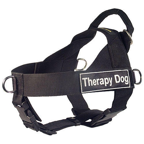 therapy dog harness UK