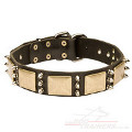best dog collar
