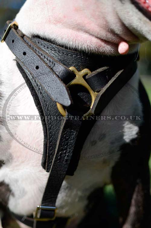 Leather dog harness for middle and large dog