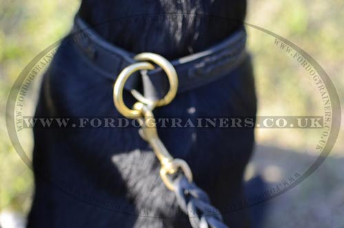 Choke Dog Collar for Labrador Training