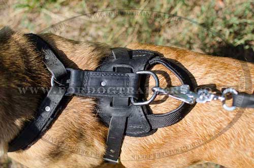 leather dog harness with handle