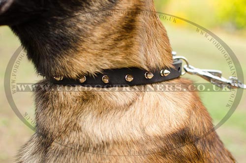 Spiked Leather Dog Collar for Malinois Shepherd Dogs