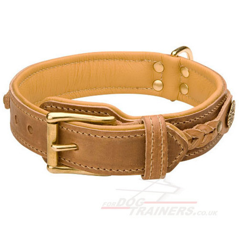 Designer Dog Collar For Stylish Dog £58.29