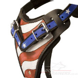 Painted Dog Harness American Pride