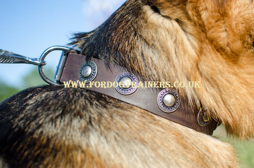 Beautiful German Shepherd Collars