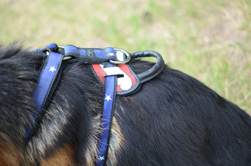 German Shepherd Dog Harness with Handle