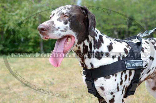 Non Pull Dog Harness for Dalmatian