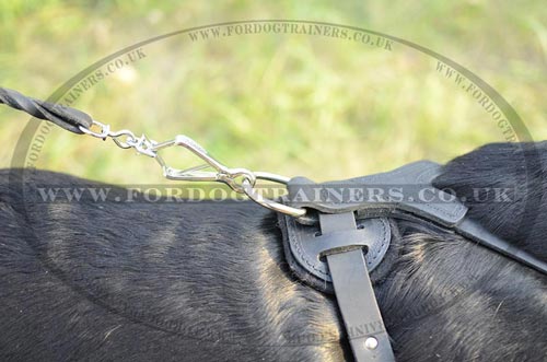 Labrador harness for dog walking