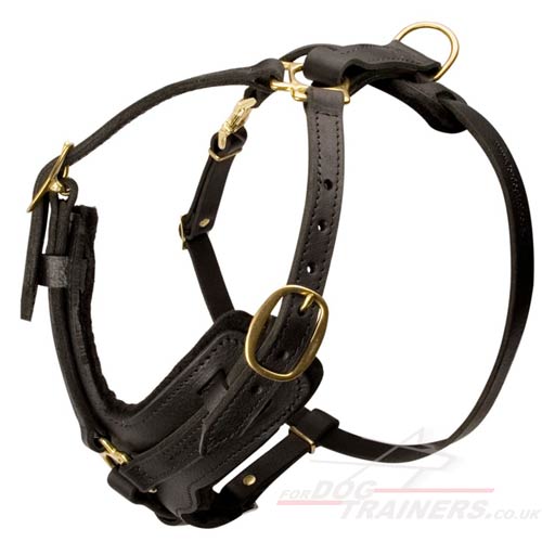 Large Leather Dog Harness with Handle
