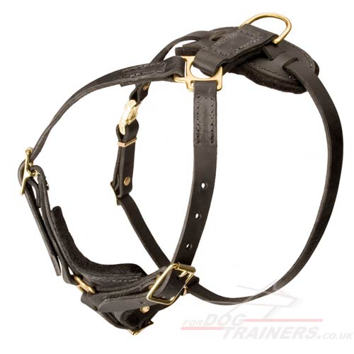 tracking dog harness leather