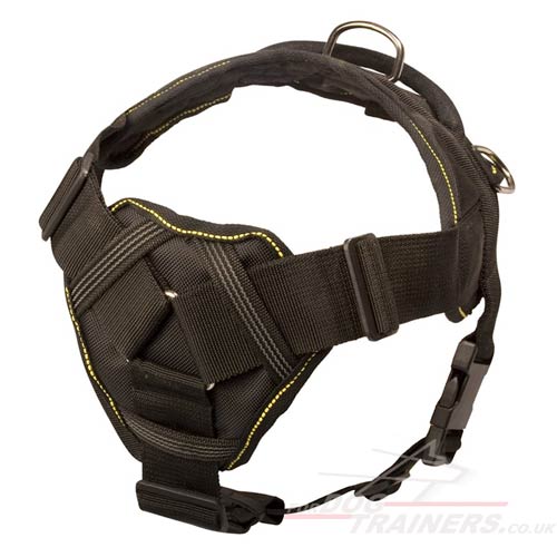 Padded Nylon Dog Harness with Handle