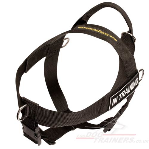 K9 training harness for dog