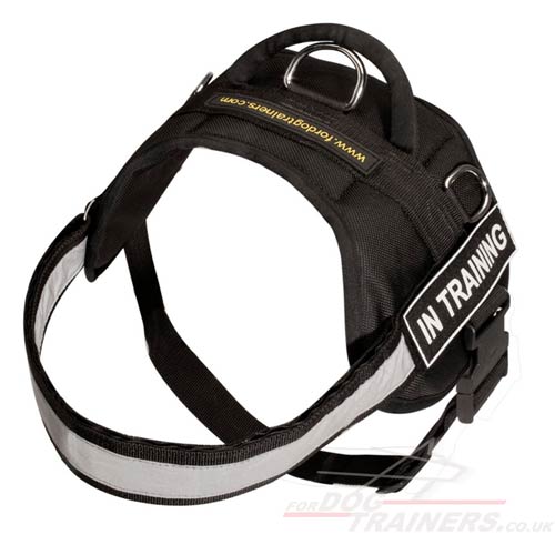 Amstaff Harness UK with reflexive strap