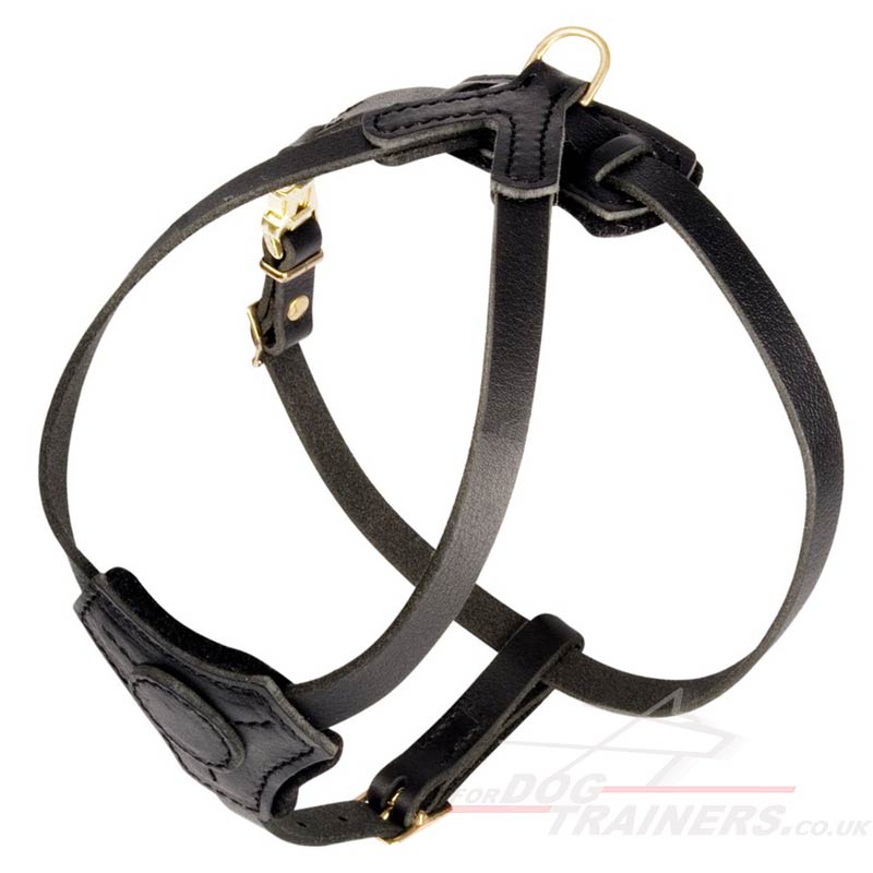 small harness harness for bulldog breeds picture small harness harness for bulldog breeds picture