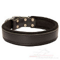 soft dog collar
