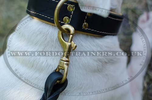 Soft dog collar with strong buckle and ring
