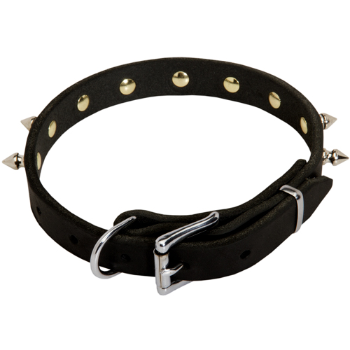 Leather Collars for Dogs