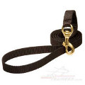 walking dog leash