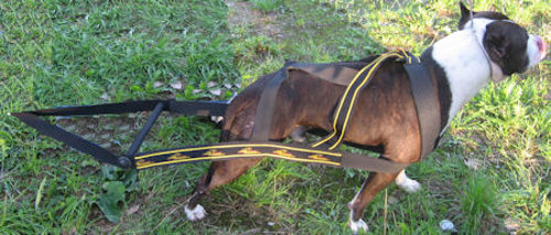 Weight Pulling Harness for Dogs