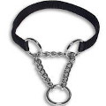 martingale dog collar